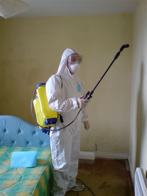 cleaning mud Ireland|mould busters ireland problems.